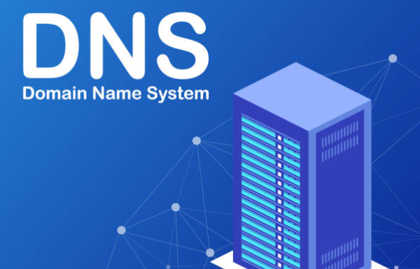 Choose a Private DNS Network